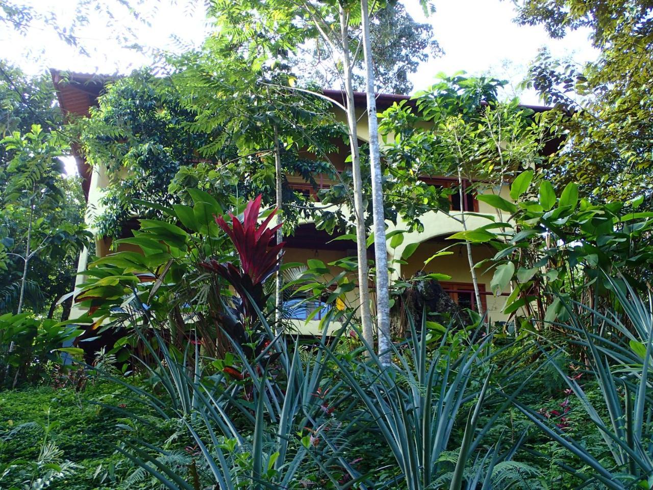 Morrillo Beach Eco Resort Esterno foto