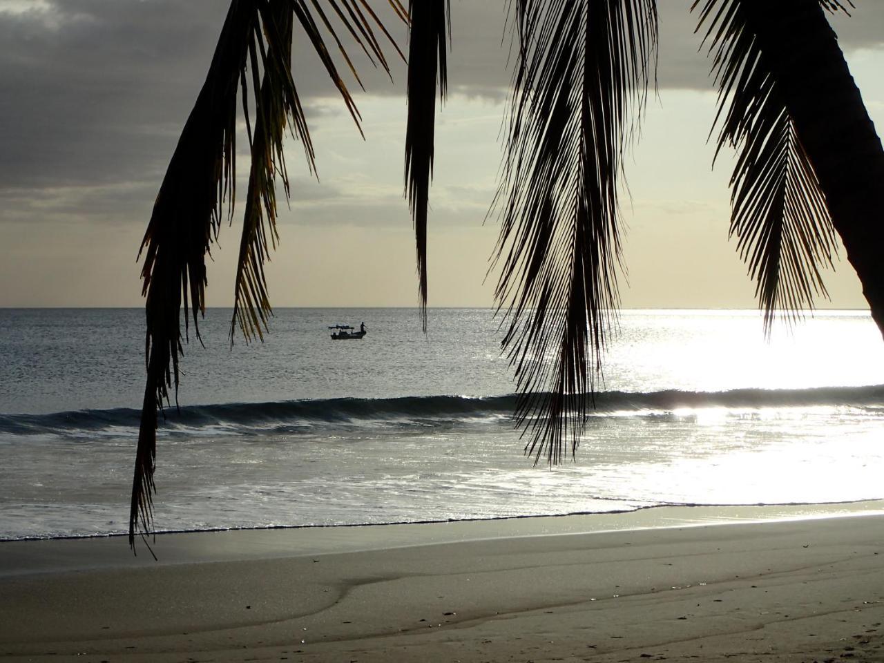 Morrillo Beach Eco Resort Esterno foto